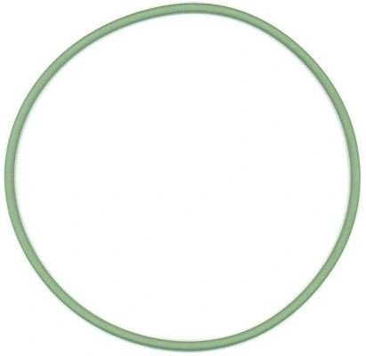 Seal Ring