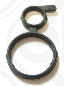 Seal Ring, injector shaft