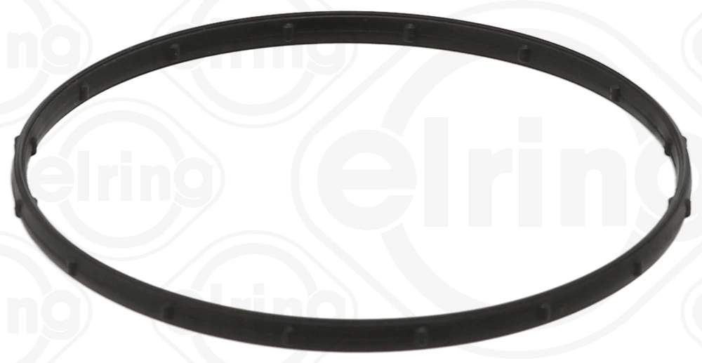 Seal Ring