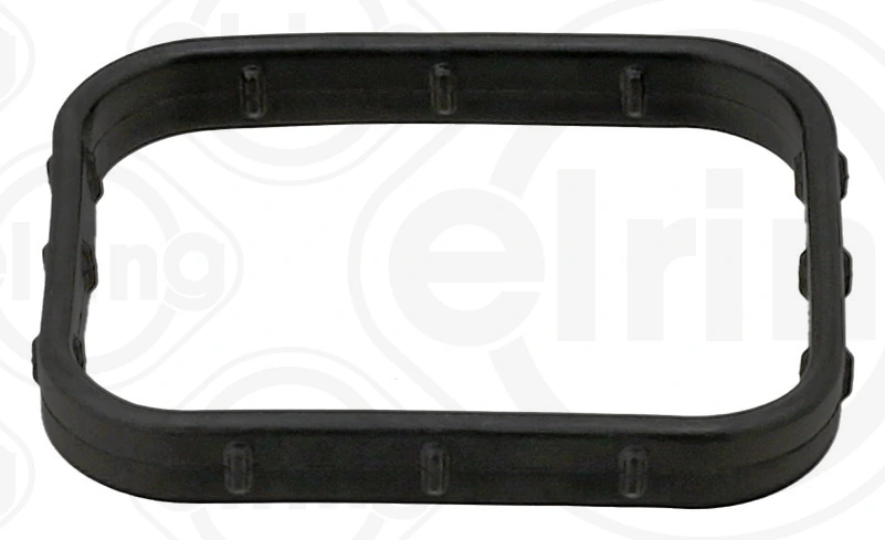 Gasket, oil cooler