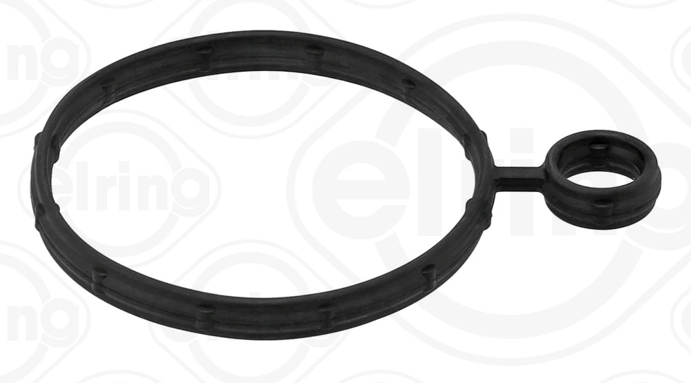 Gasket, vacuum pump