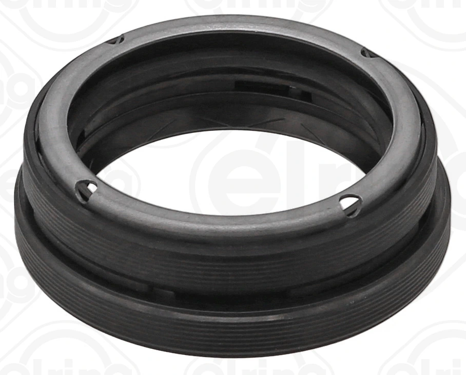 Shaft Seal, differential