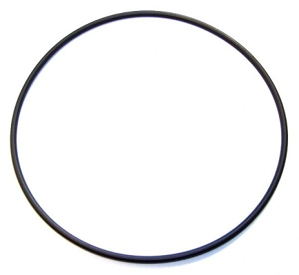 Seal Ring
