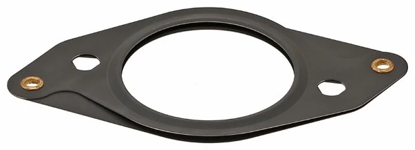 Gasket, EGR valve