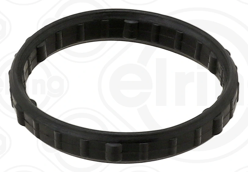 Gasket, timing case