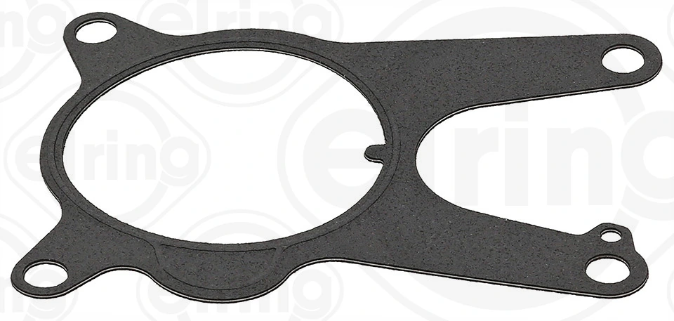 Gasket, vacuum pump