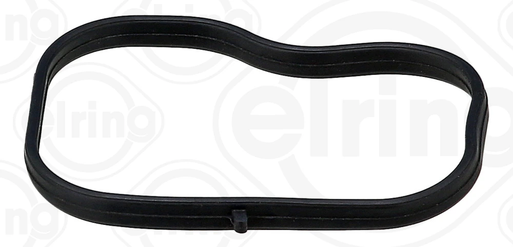 Gasket, intake manifold