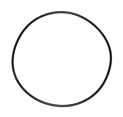 Seal Ring