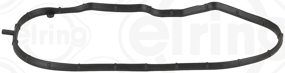 Gasket, timing case cover