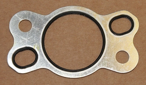 Seal, timing chain tensioner