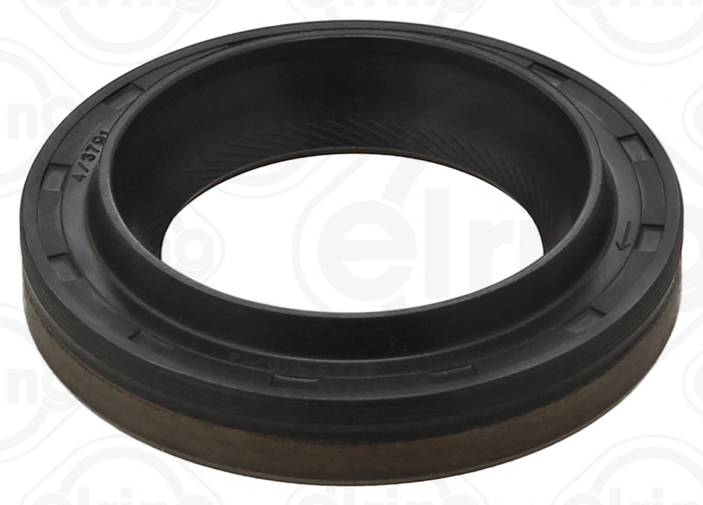 Shaft Seal, differential