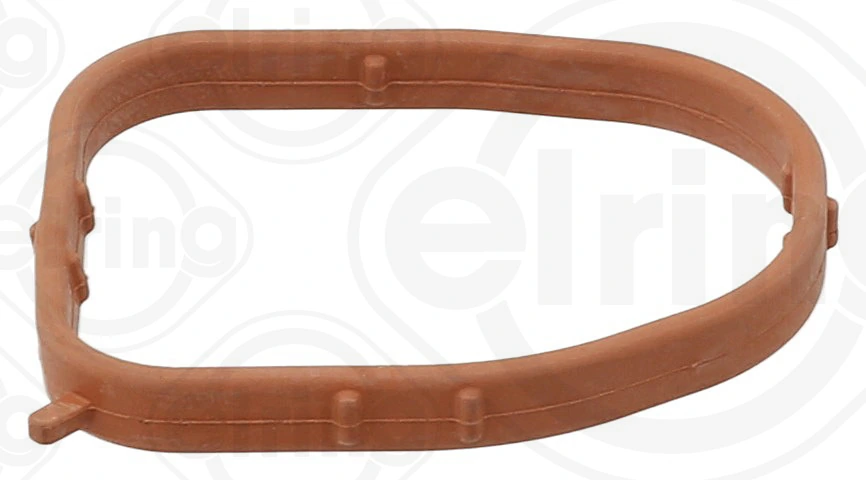 Gasket, coolant flange