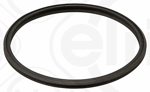 Seal, turbine inlet (charger)