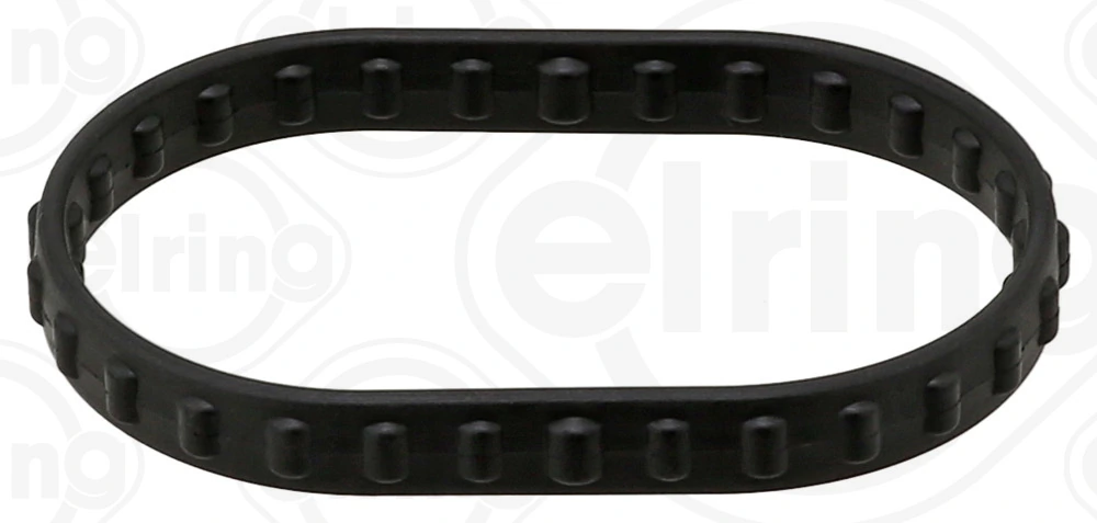 Gasket, coolant flange