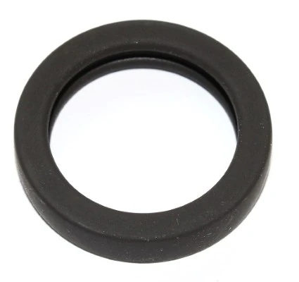 Seal Ring
