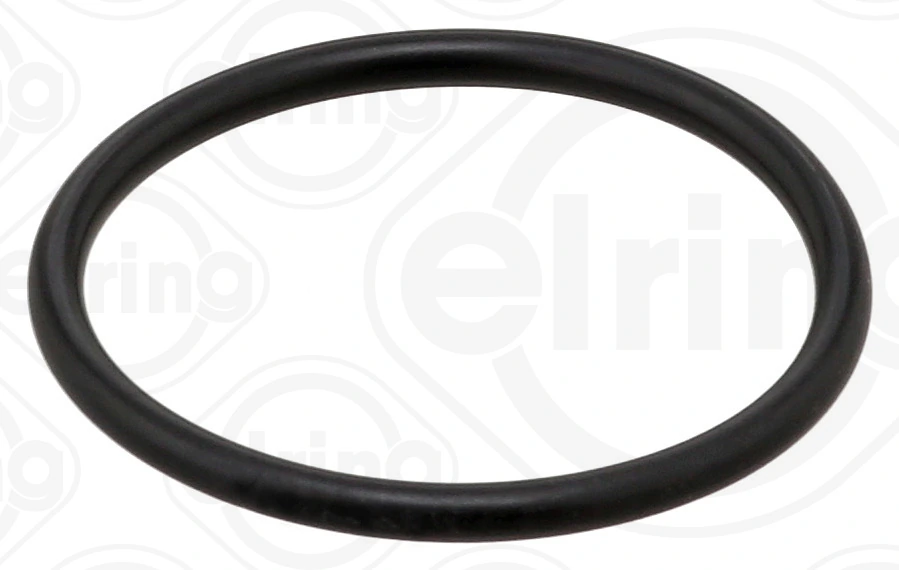 Seal Ring