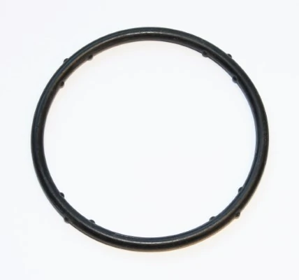 Gasket, coolant flange