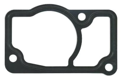 Gasket, thermostat housing