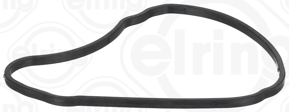 Gasket, timing case cover