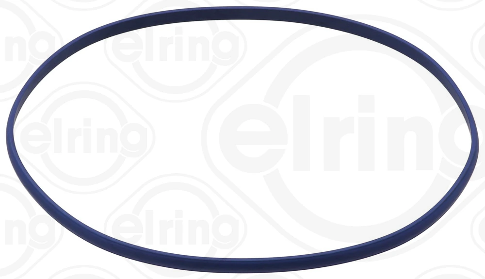 Seal Ring