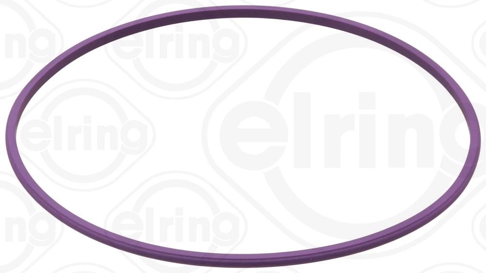 Seal Ring