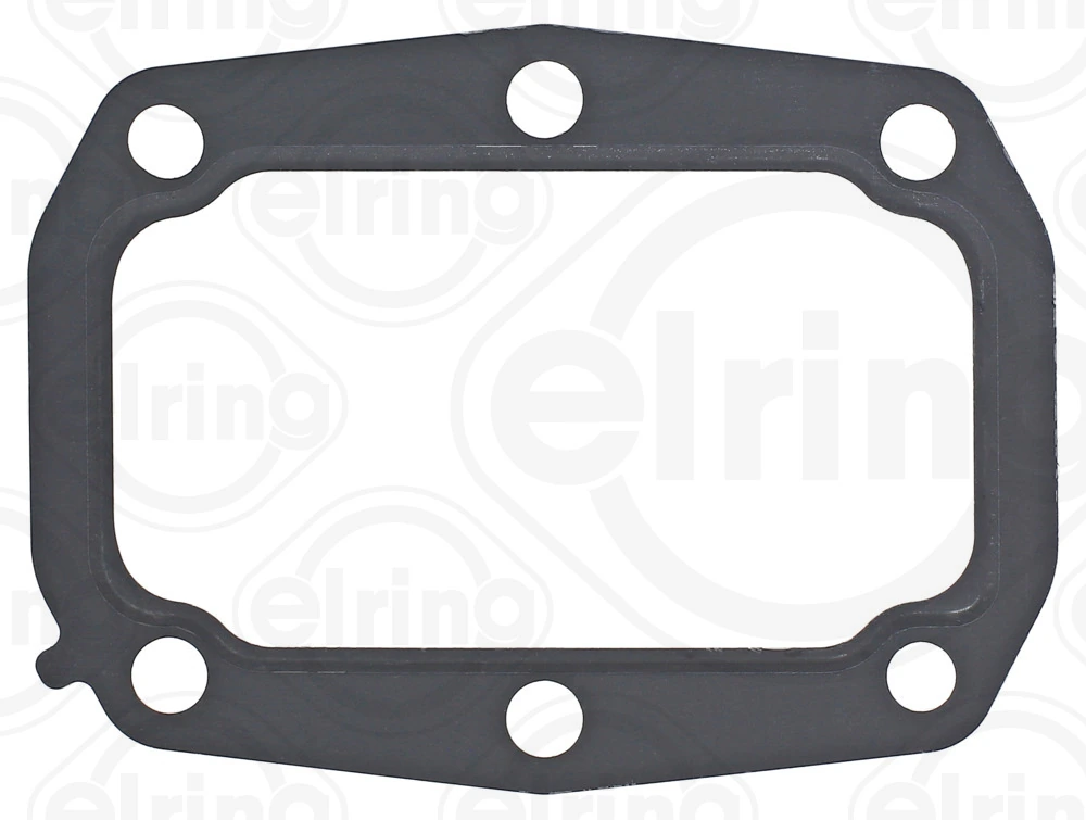 Gasket, EGR valve
