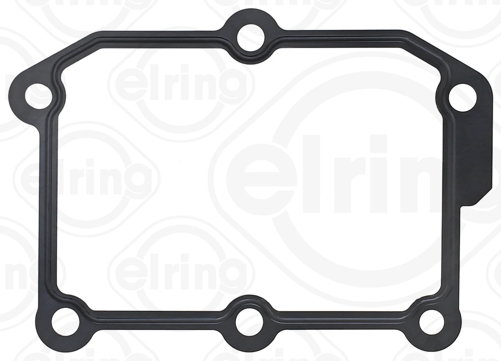 Gasket, EGR valve