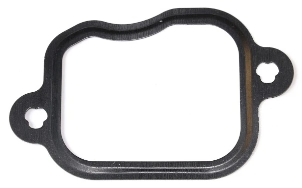 Gasket, intake manifold