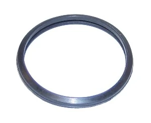 Seal Ring