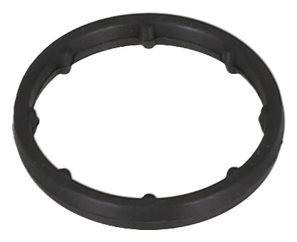 Gasket, oil cooler
