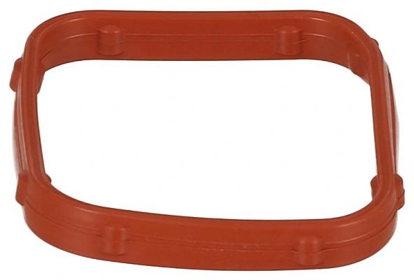 Gasket, thermostat housing