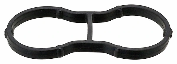 Gasket, oil filter housing