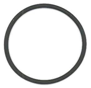 Seal Ring