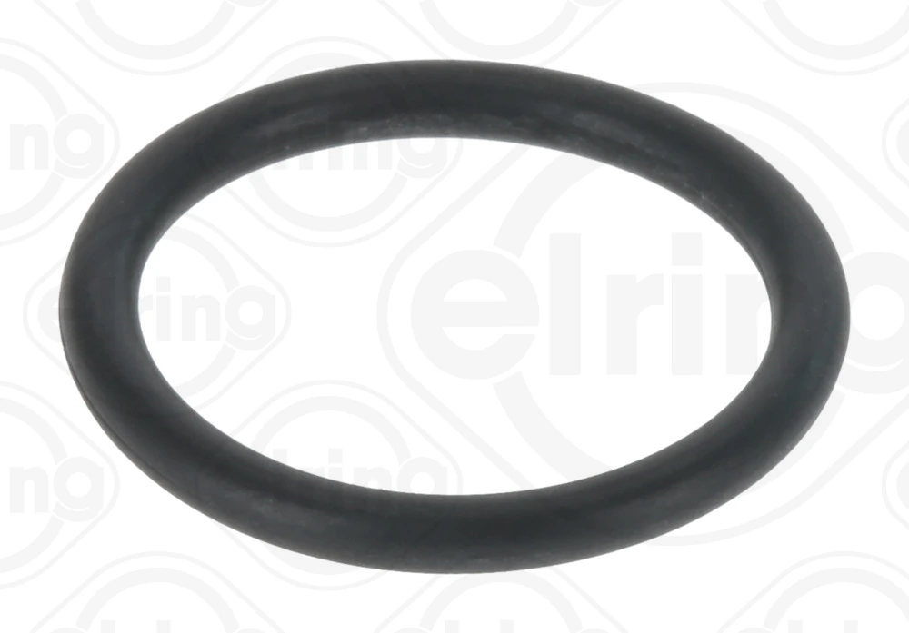 Seal Ring, injector
