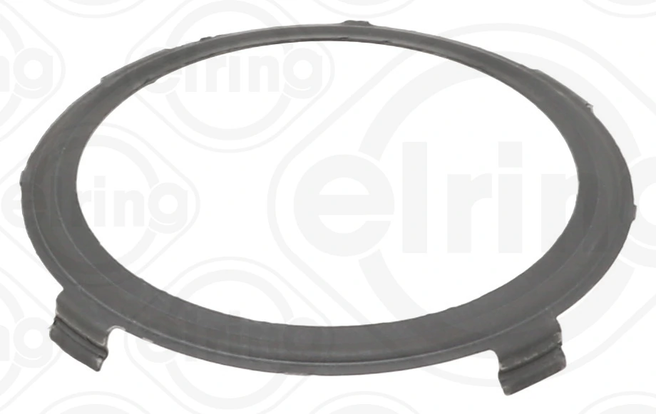 Seal Ring, charger