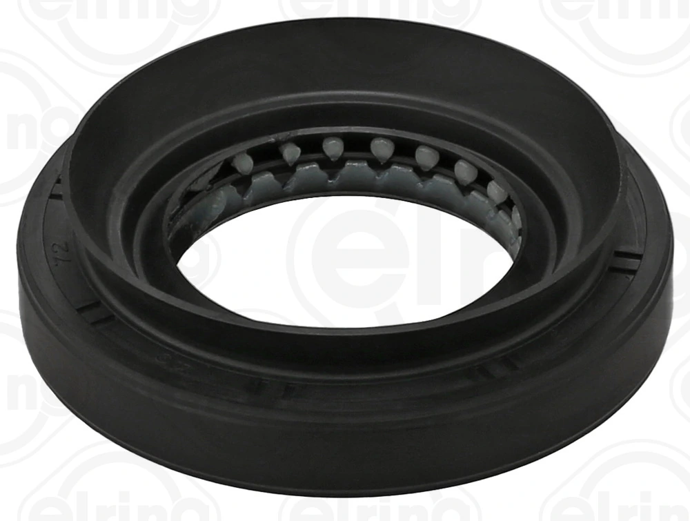Shaft Seal, differential