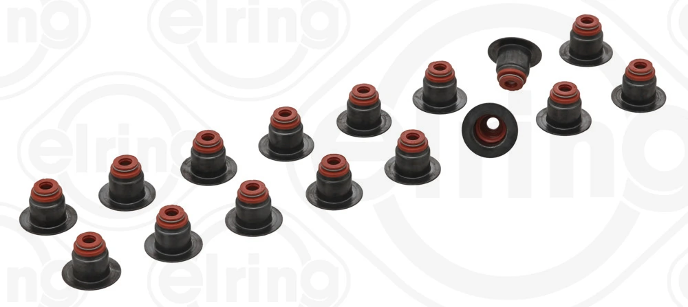 Seal Ring, valve stem