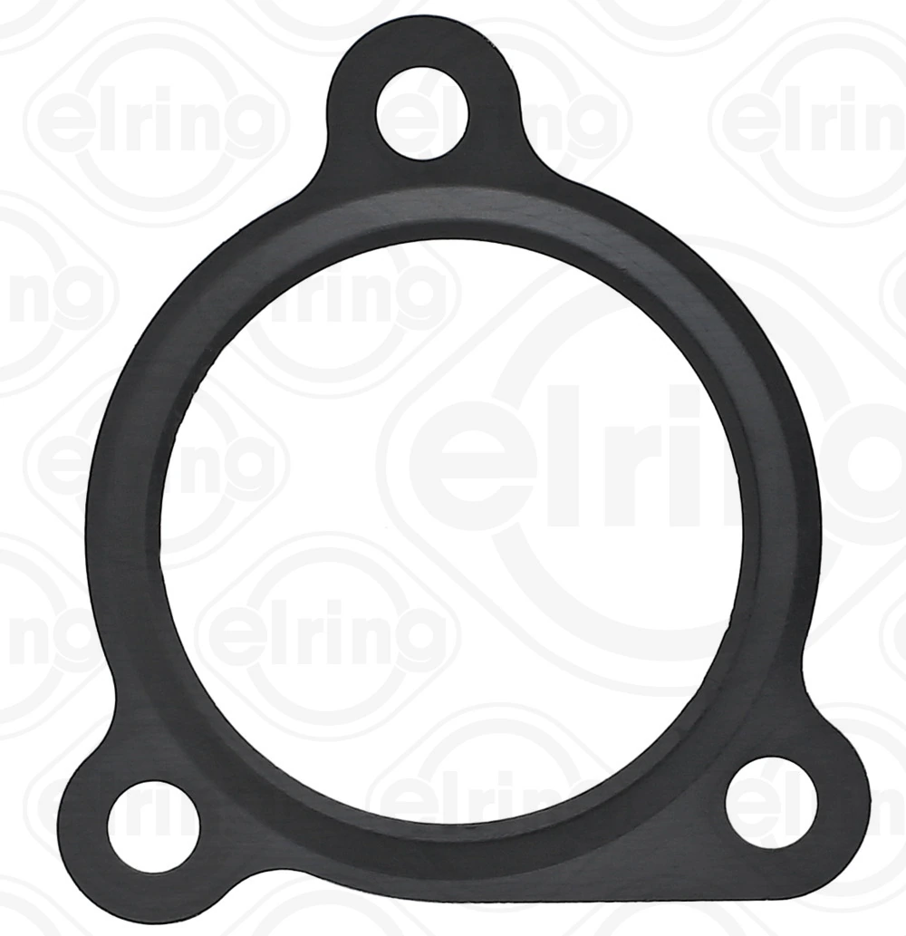 Gasket, EGR valve