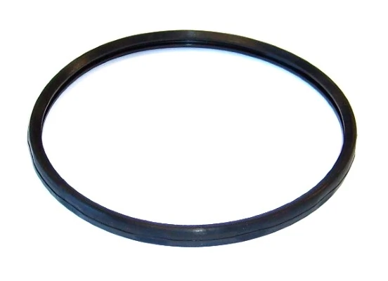 Seal Ring
