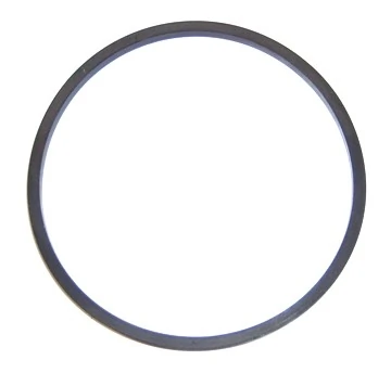 Seal Ring, fuel filter