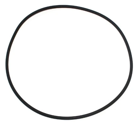 Seal Ring