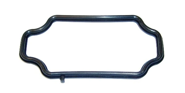Gasket, coolant flange