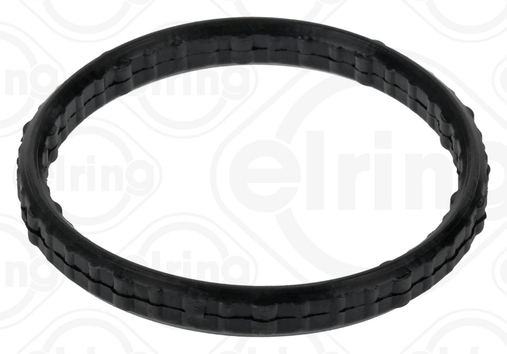 Gasket, thermostat housing