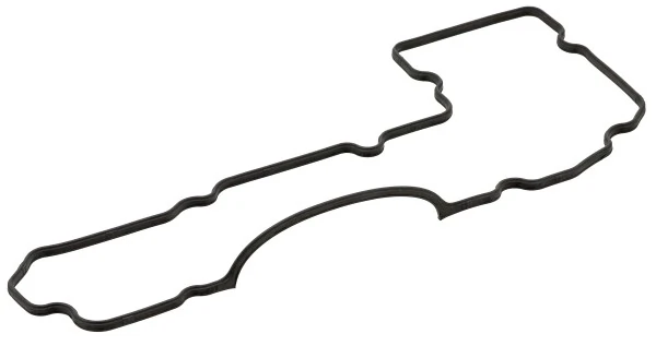 Gasket, timing case cover