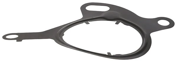 Gasket, vacuum pump