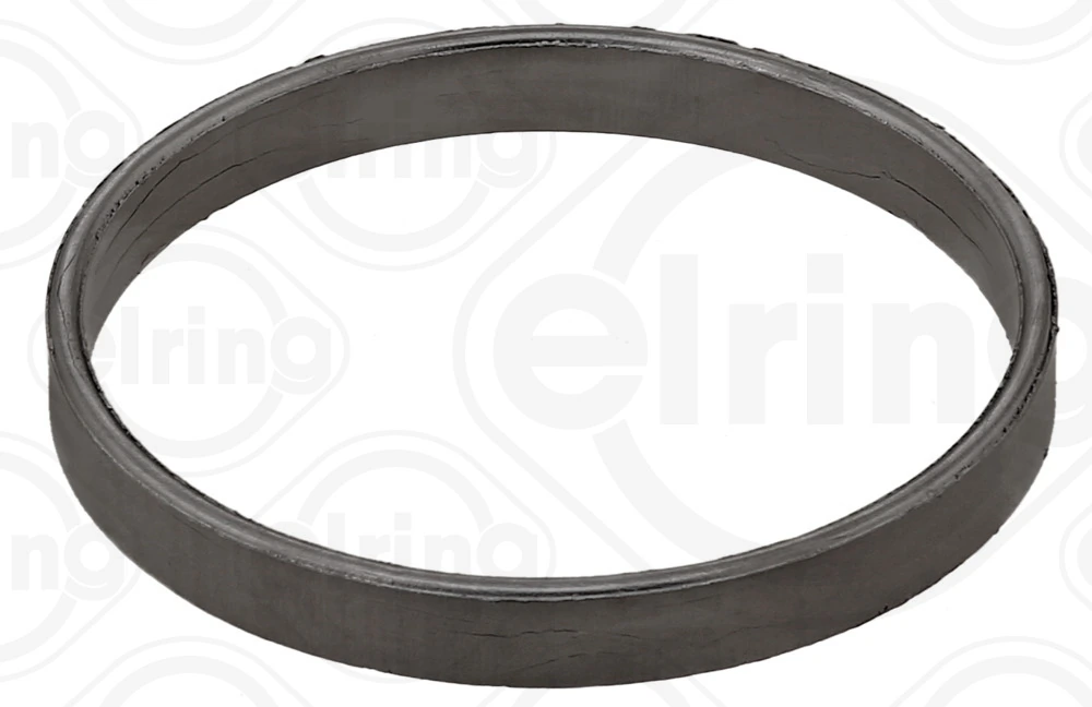 Seal Ring, charger