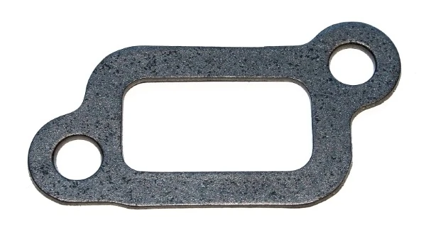 Gasket, thermostat housing