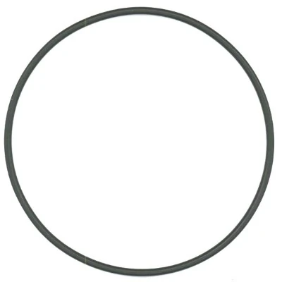 Seal Ring