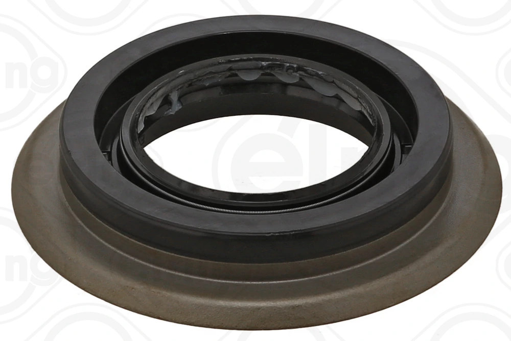 Shaft Seal, differential