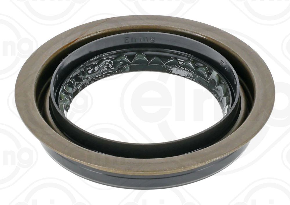 Shaft Seal, differential